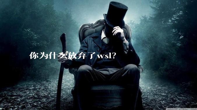 你为什么放弃了wsl？