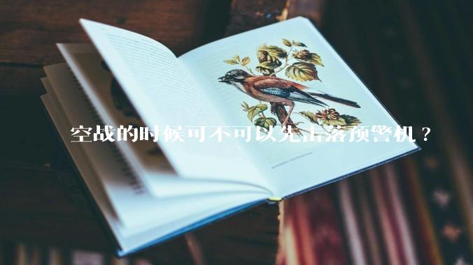空战的时候可不可以先击落预警机?