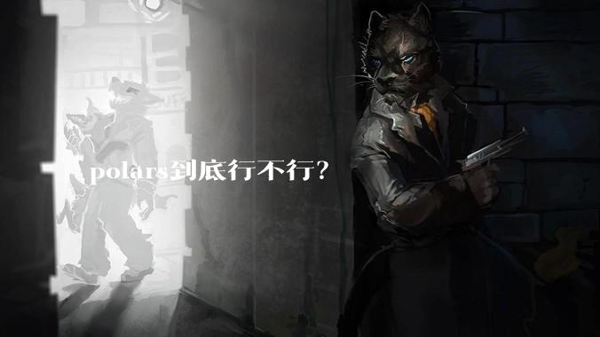 polars到底行不行？