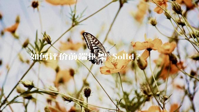如何评价前端框架 Solid?