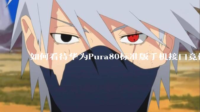 如何看待华为Pura80标准版手机接口竟倒退成USB 2.0？要是也烧了WIFI是不是不好备份数据？