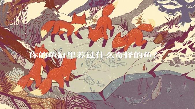 你的鱼缸里养过什么奇怪的鱼？